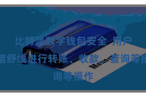 比特派数字钱包安全 用户不错舒缓进行转账、收款、查询等操作