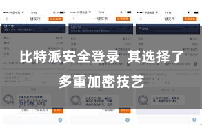 比特派安全登录 其选择了多重加密技艺
