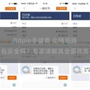 Bitpie手续费 比特派钱包安全吗？专家详解其全面优势