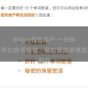 Bitpie钱包用户 一分钟上手比特派钱包，轻松管理多链资产