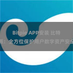 Bitpie APP安装 比特派：全方位保护用户数字资产安全