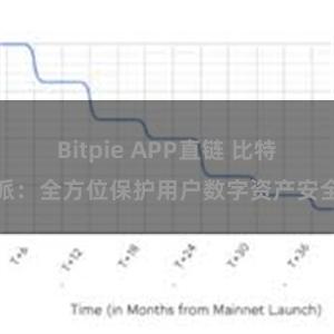 Bitpie APP直链 比特派：全方位保护用户数字资产安全