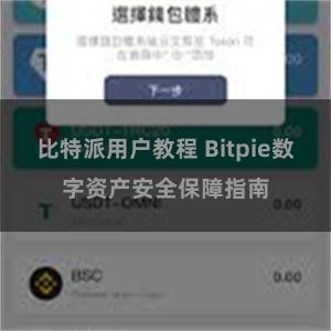 比特派用户教程 Bitpie数字资产安全保障指南