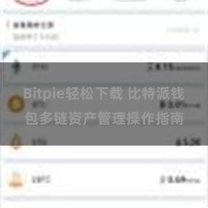 Bitpie轻松下载 比特派钱包多链资产管理操作指南