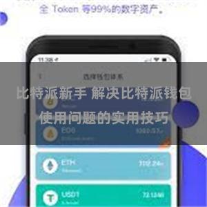 比特派新手 解决比特派钱包使用问题的实用技巧