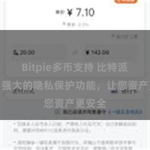 Bitpie多币支持 比特派钱包：强大的隐私保护功能，让您资产更安全