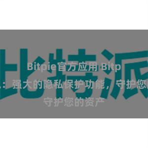 Bitpie官方应用 Bitpie钱包：强大的隐私保护功能，守护您的资产