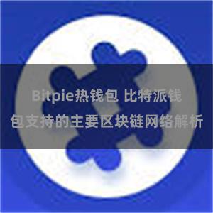 Bitpie热钱包 比特派钱包支持的主要区块链网络解析