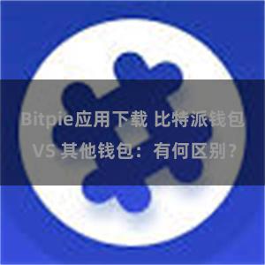 Bitpie应用下载 比特派钱包 VS 其他钱包：有何区别？