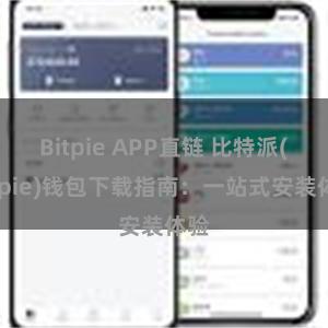 Bitpie APP直链 比特派(Bitpie)钱包下载指南：一站式安装体验