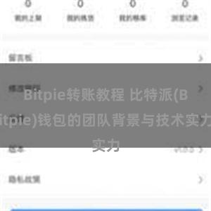 Bitpie转账教程 比特派(Bitpie)钱包的团队背景与技术实力