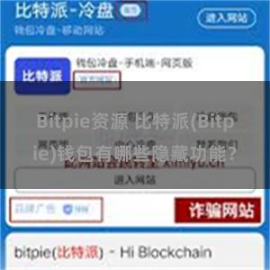 Bitpie资源 比特派(Bitpie)钱包有哪些隐藏功能？