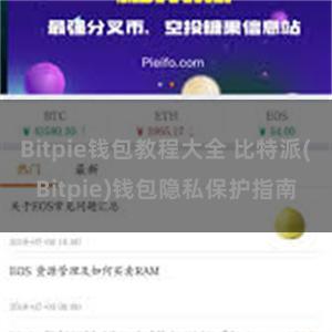 Bitpie钱包教程大全 比特派(Bitpie)钱包隐私保护指南