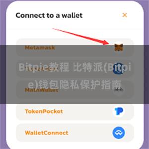 Bitpie教程 比特派(Bitpie)钱包隐私保护指南