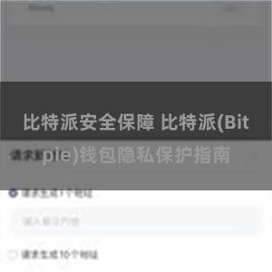 比特派安全保障 比特派(Bitpie)钱包隐私保护指南