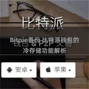 Bitpie备份 比特派钱包的冷存储功能解析