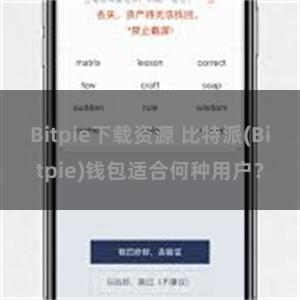 Bitpie下载资源 比特派(Bitpie)钱包适合何种用户？