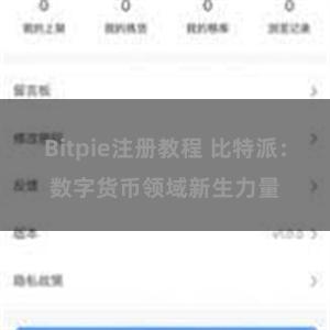 Bitpie注册教程 比特派：数字货币领域新生力量