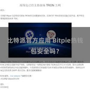 比特派官方应用 Bitpie热钱包安全吗？