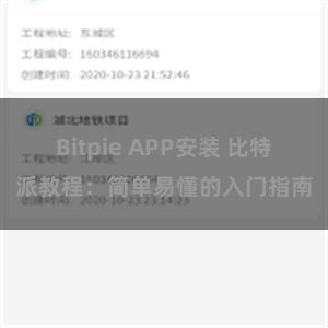 Bitpie APP安装 比特派教程：简单易懂的入门指南