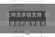 比特派多链支持  即可取得您的数字货币地址